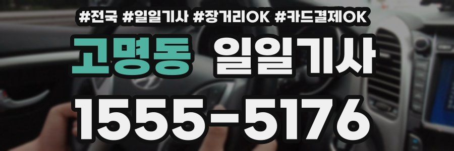 고명동 일일기사