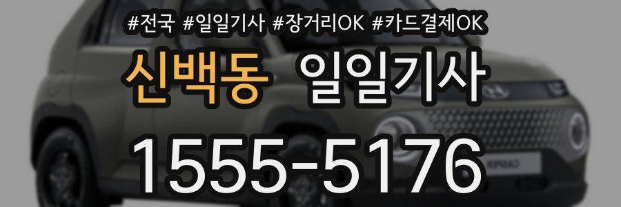신백동 일일기사