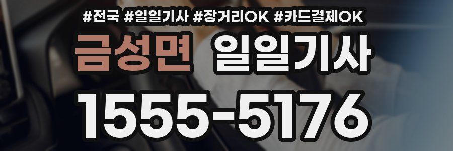 금성면 일일기사