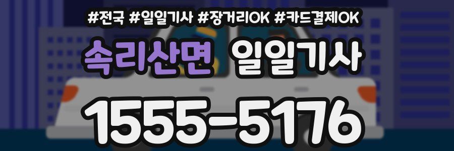 속리산면 일일기사