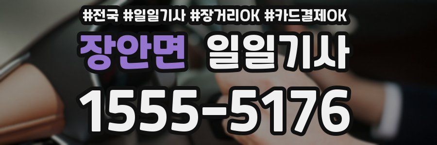 장안면 일일기사