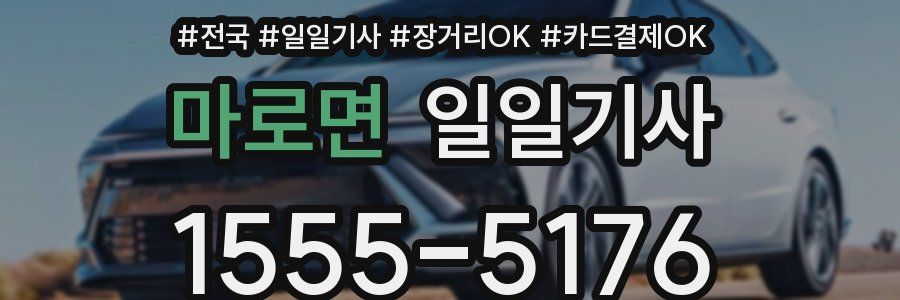 마로면 일일기사