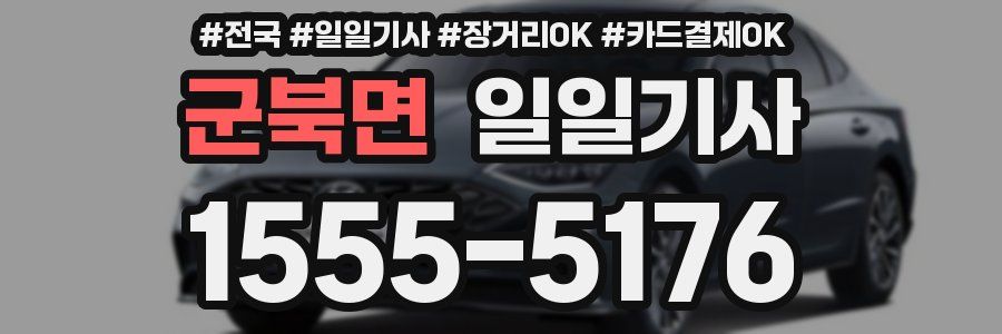 군북면 일일기사