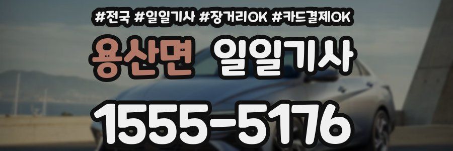 용산면 일일기사