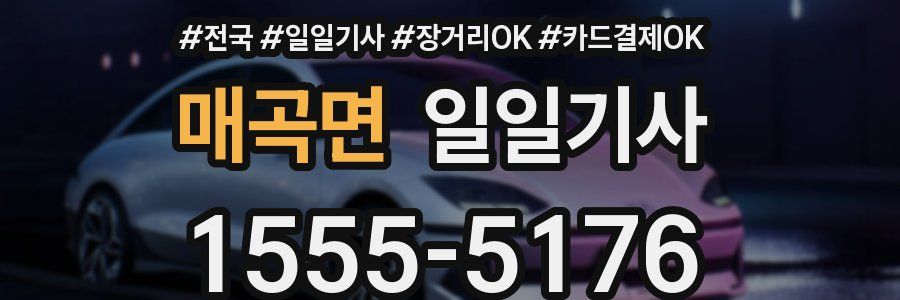매곡면 일일기사