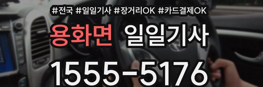 용화면 일일기사