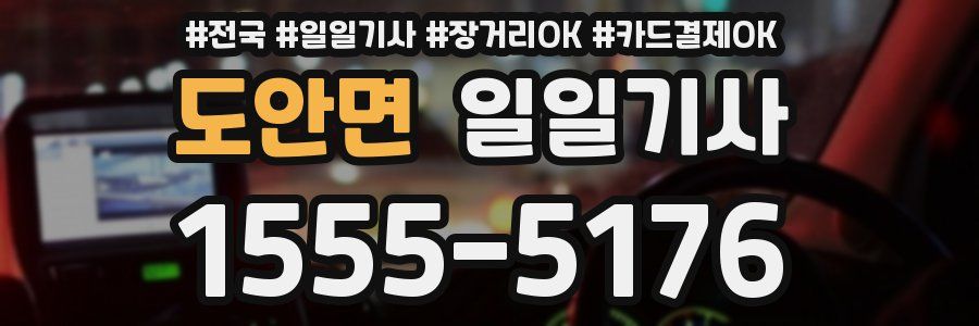 도안면 일일기사