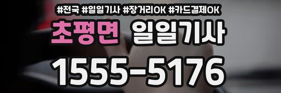 초평면 일일기사