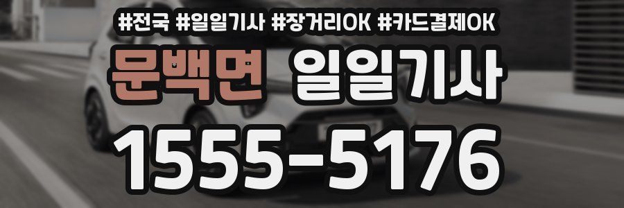 문백면 일일기사