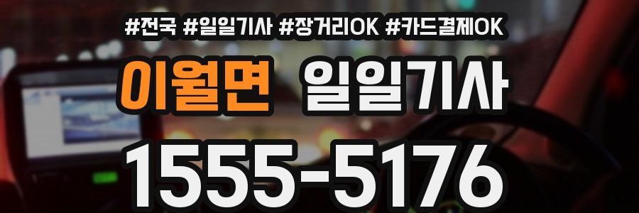 이월면 일일기사