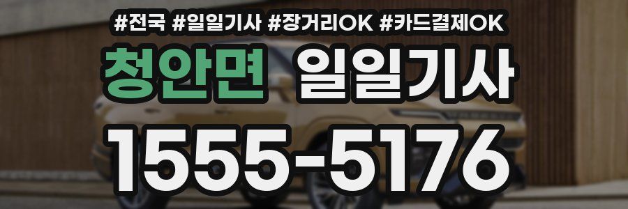 청안면 일일기사