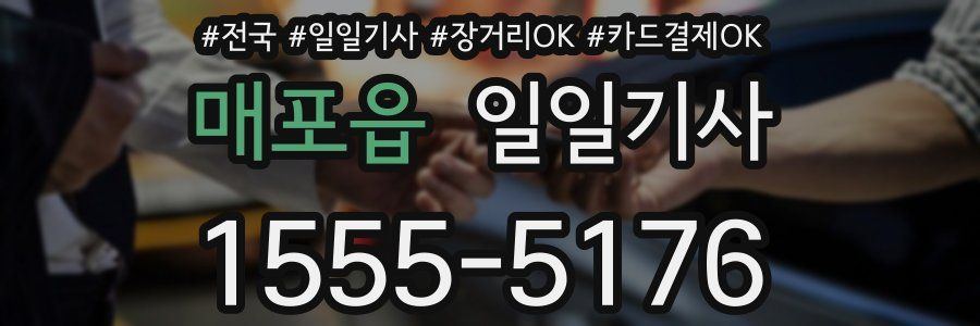 매포읍 일일기사