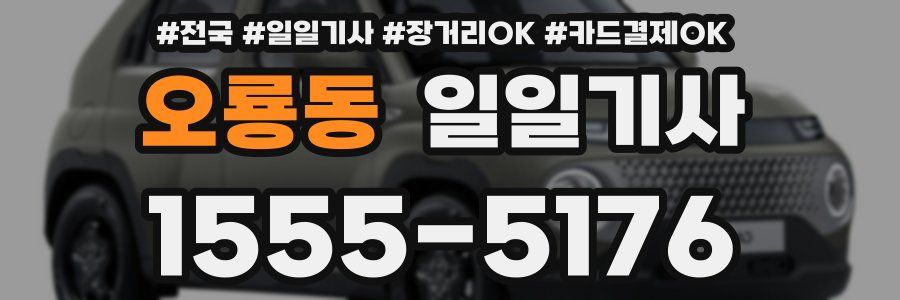 오룡동 일일기사