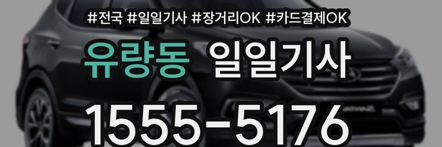 유량동 일일기사