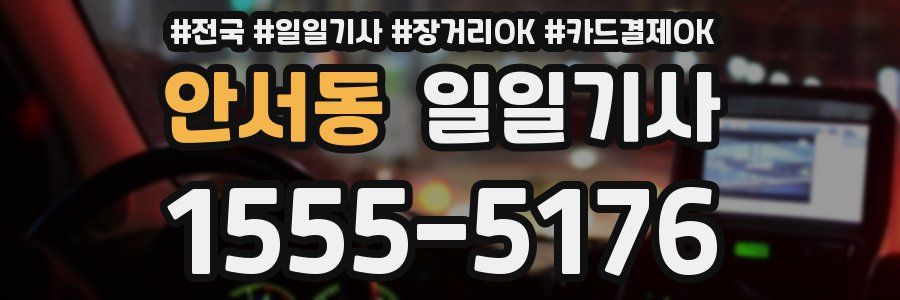 안서동 일일기사