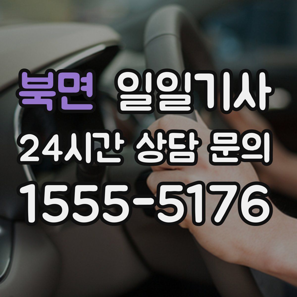 일일기사