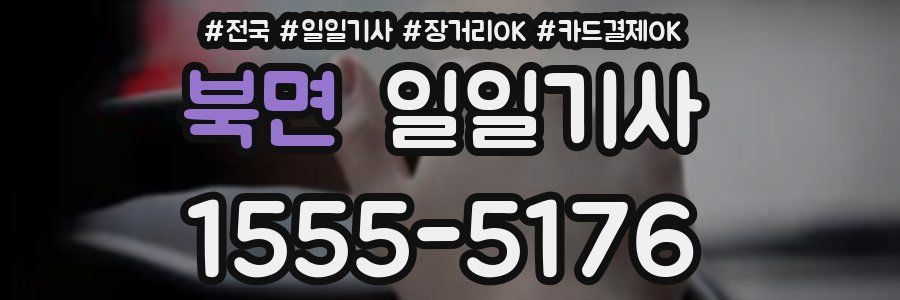 북면 일일기사