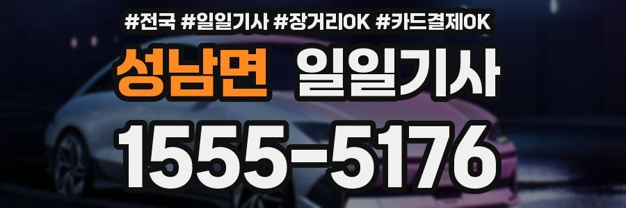 성남면 일일기사