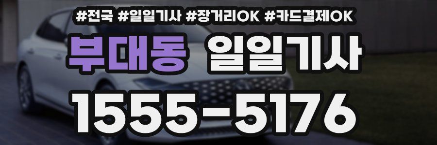 부대동 일일기사