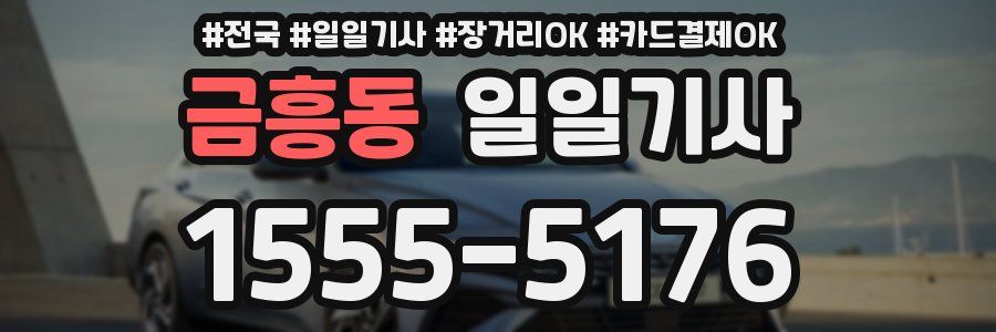 금흥동 일일기사