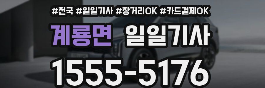 계룡면 일일기사