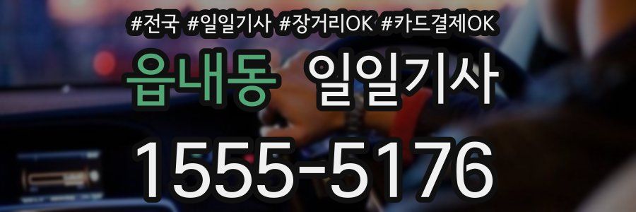 읍내동 일일기사