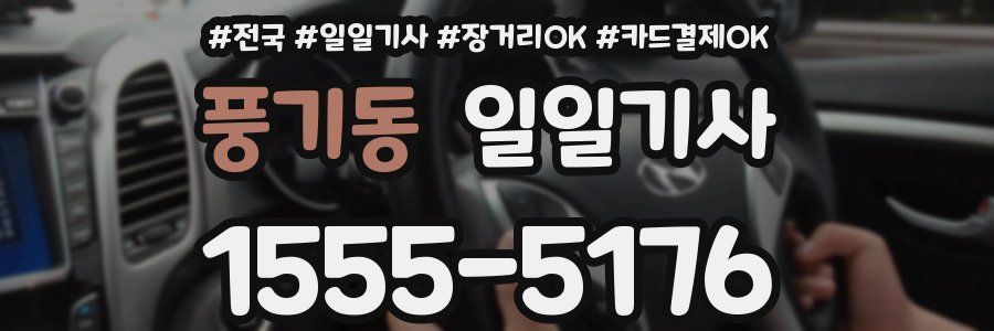 풍기동 일일기사