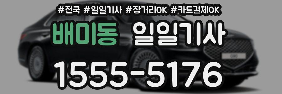 배미동 일일기사