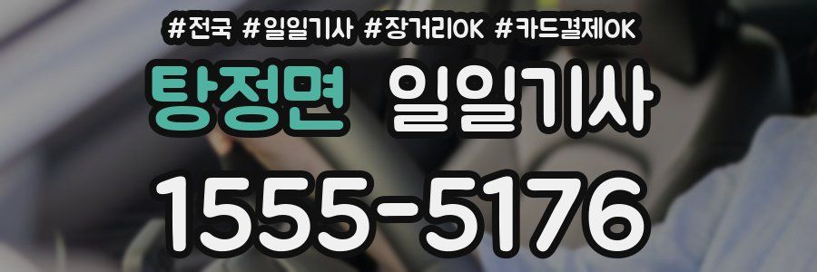 탕정면 일일기사