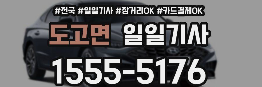 도고면 일일기사