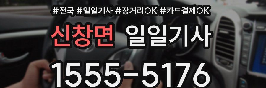 신창면 일일기사