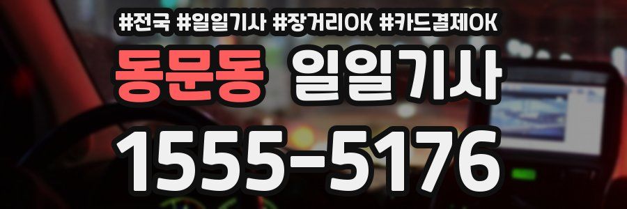 동문동 일일기사
