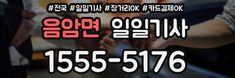 음암면 일일기사