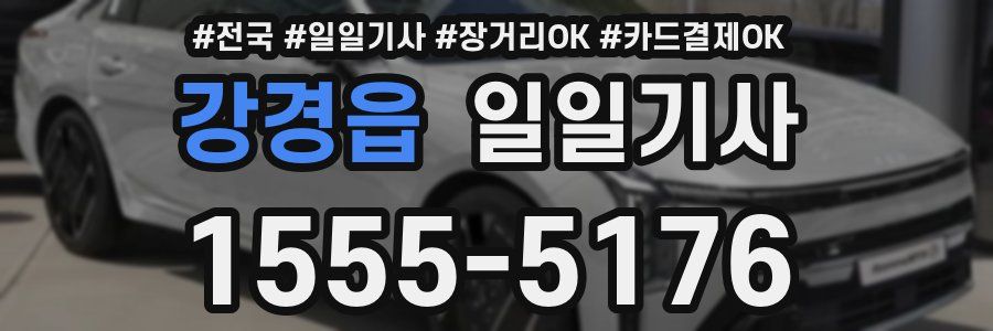 강경읍 일일기사