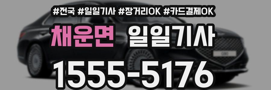 채운면 일일기사