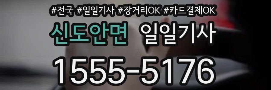 신도안면 일일기사