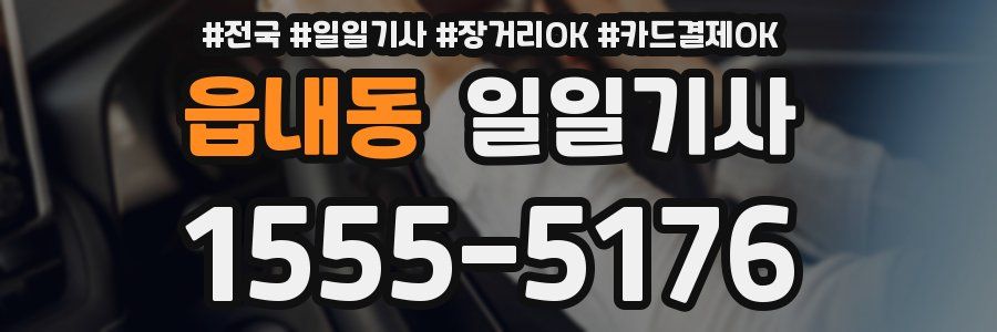 읍내동 일일기사