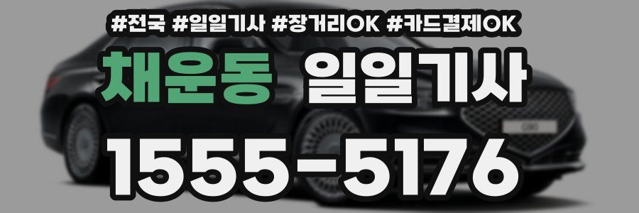 채운동 일일기사