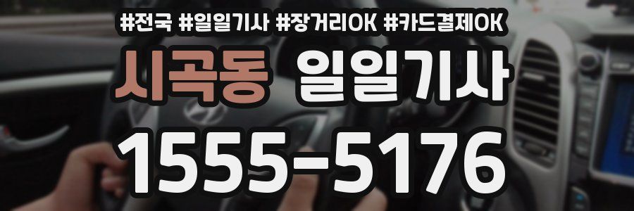 시곡동 일일기사