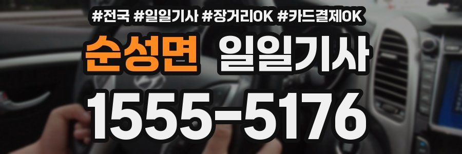 순성면 일일기사