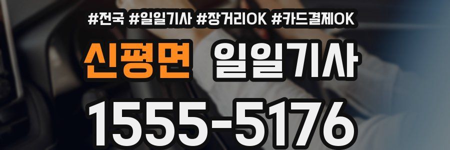신평면 일일기사