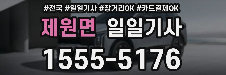 제원면 일일기사