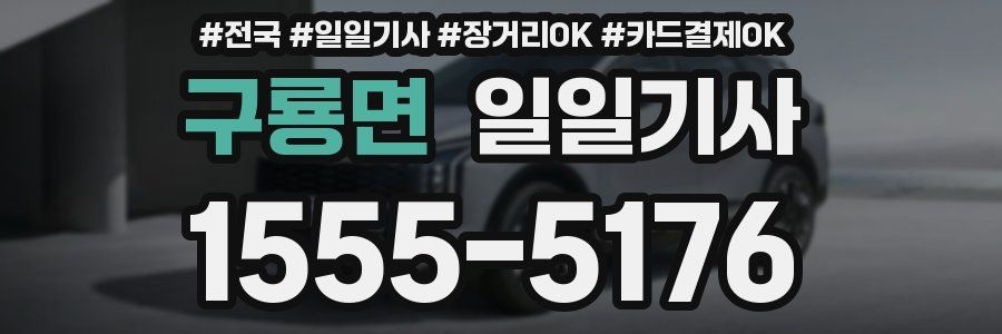 구룡면 일일기사