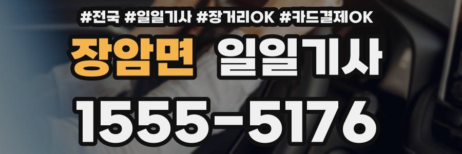 장암면 일일기사