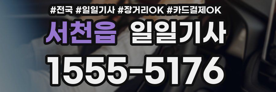 서천읍 일일기사