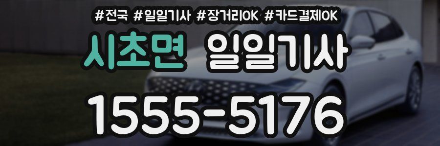 시초면 일일기사