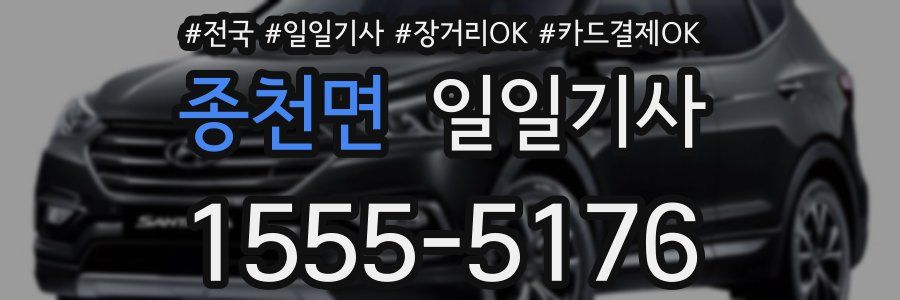 종천면 일일기사
