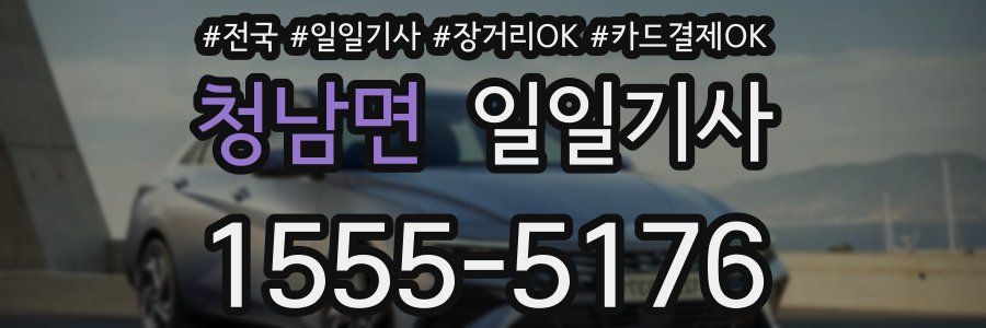 청남면 일일기사