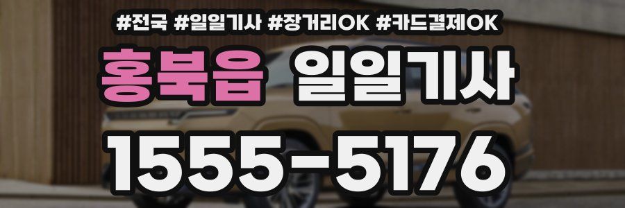 홍북읍 일일기사