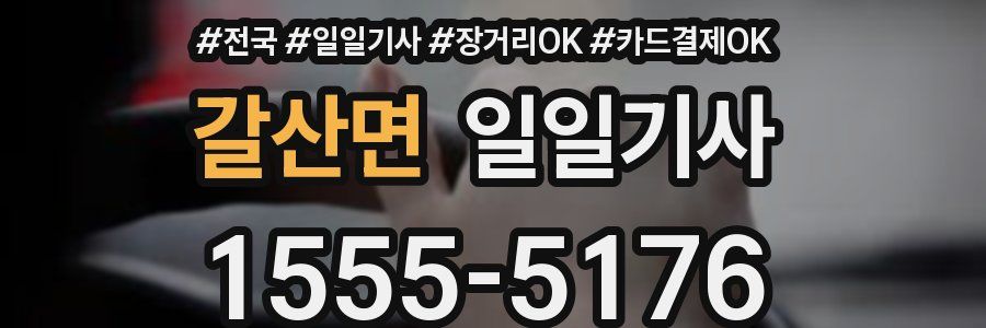 갈산면 일일기사